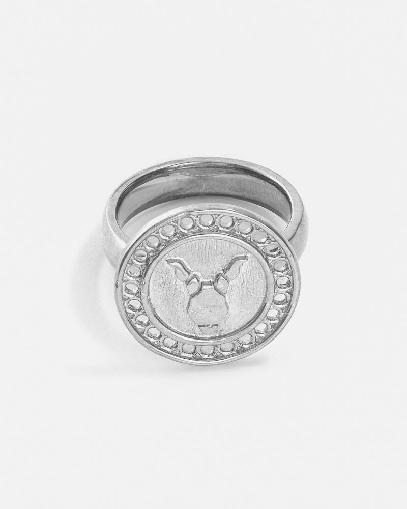 Zodiac Capricorn Ring in Silver